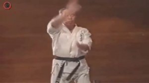 Kyokushin Karate - Kata Tensho - Bobby Lowe 8 Dan