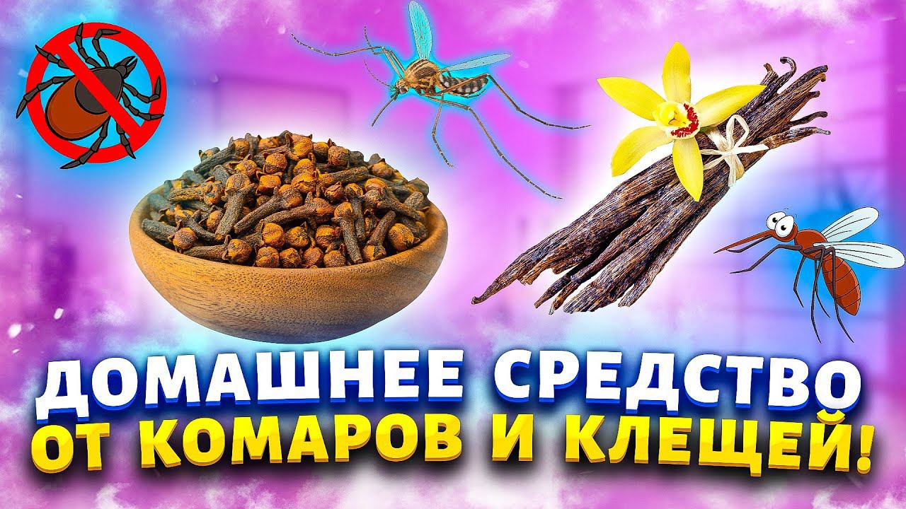Меня не кусают  мухи, комары и мошки ни в парке ни на даче. Сделала средства и забыла о них навсегда