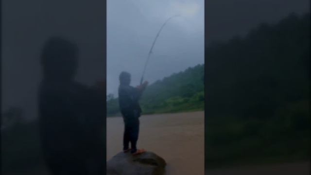 एवढा मोठा मासा सुटला😭😭😭🎣🎣. Fishing videos. #viral #fish #fishingtechniques #kokan #catchingfish