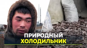 В мерзлотнике Гыды замораживают и хранят местную рыбу