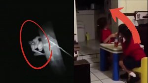 3 страшных видео на ночь, которые должны вас испугать.