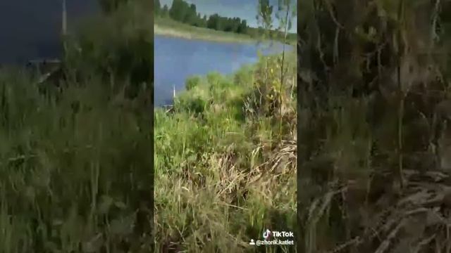 окунь джиг вот где надо рыбачить Артур Челябинск рыбалка щука