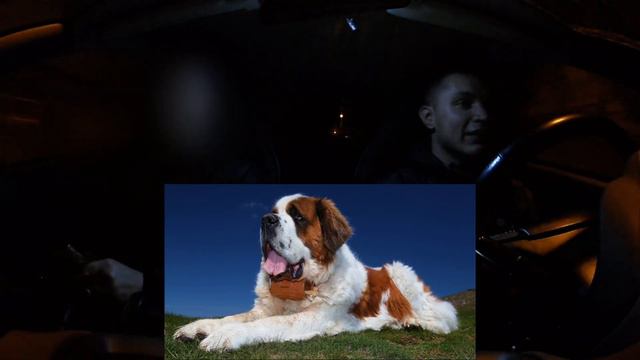 Задаю провокационные вопросы/ Что ответят люди? смотреть онлайн