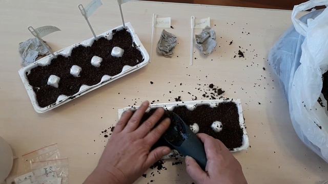 Пришло время сеять клубнику. Иркутск. смотреть онлайн