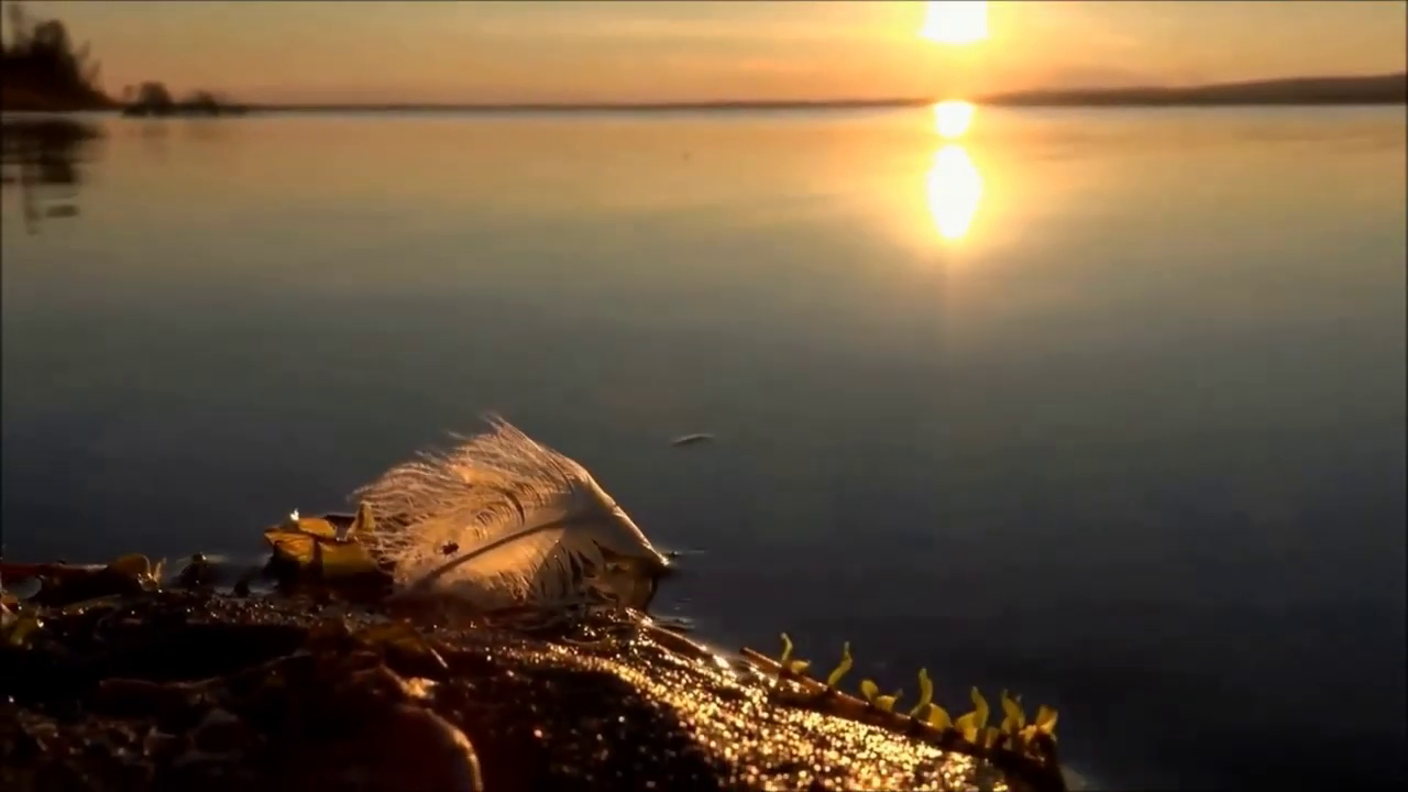 Премьера клипа 2022!!! Автор и исполнитель из Брянска Максим Куст песня - _ГАСТРОЛИ ЛЮБВИ_ ....mp4 смотреть онлайн