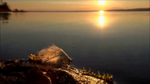 Премьера клипа 2022!!! Автор и исполнитель из Брянска Максим Куст песня - _ГАСТРОЛИ ЛЮБВИ_ ....mp4