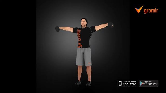 Подъем рук с гантелями в стороны смотреть онлайн