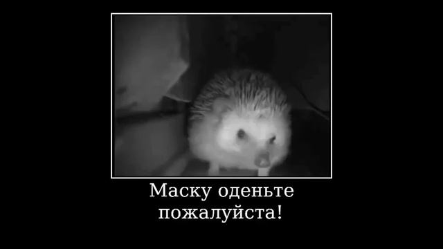 Ежик чихает 10 часов все версии смотреть онлайн