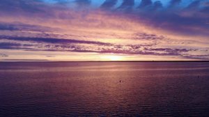 Сестрорецк, 15.07.2020