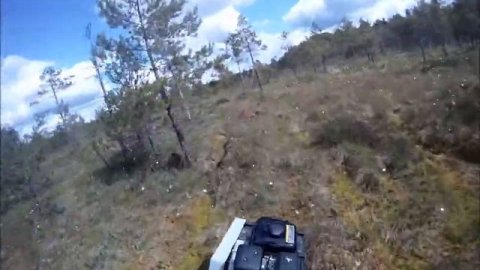 Тофалар-мини на моховом болоте