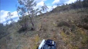 Тофалар-мини на моховом болоте