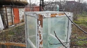 фейхоа зимует на даче