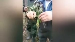 Супер насадки и супер снасть для ловли карпа и белого амура!