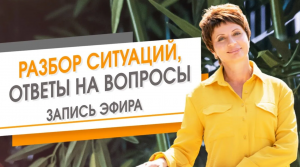 Разбор ситуаций и ответы на вопросы. Запись эфира. Елена Ачкасова