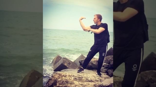 Стиль пьяного Табасаранца  или Табасаранский пьяный мастер ?