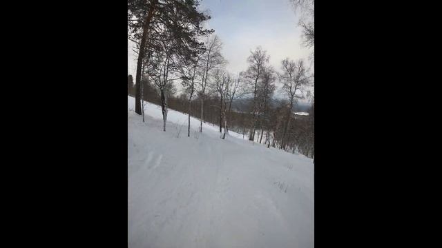 ГЛЦ Завьялиха Фрирайд смотреть онлайн