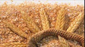 Очищение кишечника отрубями. Чистка кишечника в домашних условиях народными средствами