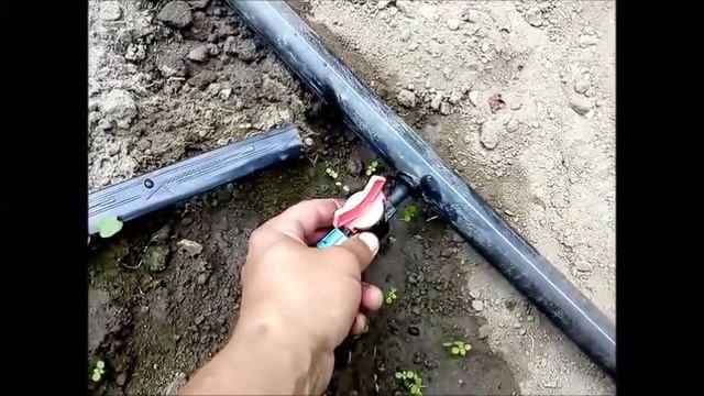 Капельный полив - быстро и просто!