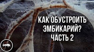 ДЕЛАЮ НОВЫЙ ДОМ ДЛЯ ЭМБИЙ // РАСПАКОВКА ПОСЫЛКИ // AntKeeper