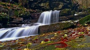 cicha woda brzegi rwie - Zbigniew Kurtycz