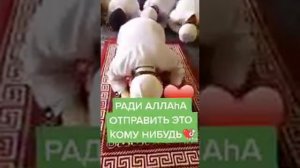 как дети красиво делают Намаз