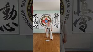 ТРЕНИРОВКА ПО КАРАТЭ КЕКУСИНКАЙ! ТЕМА - КИХОН И ТЕХНИКА В БОЕВОЙ СТОЙКЕ. НАЧАЛЬНЫЙ УРОВЕНЬ.