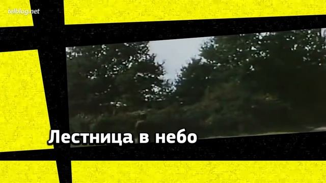 10 Невероятно КРАСИВЫХ Фильмов! смотреть онлайн