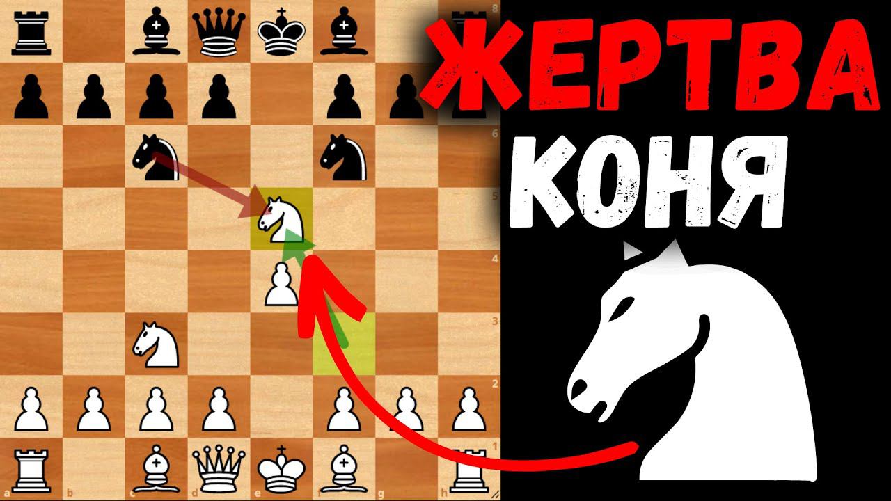 Жертва Коня на 4м ходу! Агрессивный гамбит Хэллоуин!
