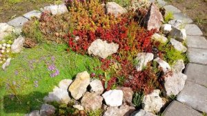 ПЛАВАЮЩИЙ ОСТРОВ С РАСТЕНИЯМИ СВОИМИ РУКАМИ.