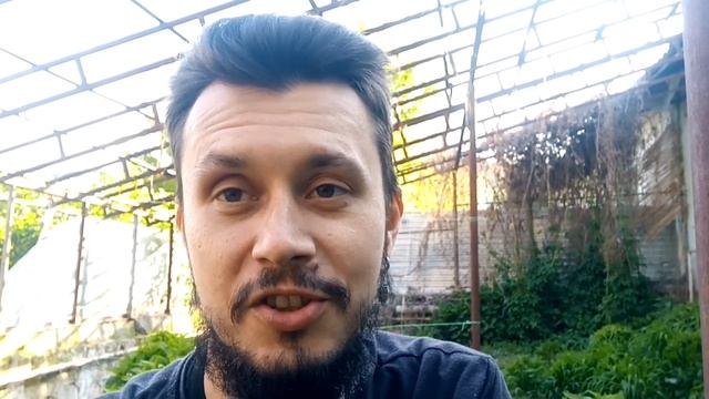 [влог] Мне - 35 лет! Итоги года через Дизайн Человека