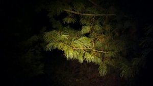 Тест фонарей "Яркий Луч"-  Енот 500 , Панда 3, Кобра и Skilhunt H03