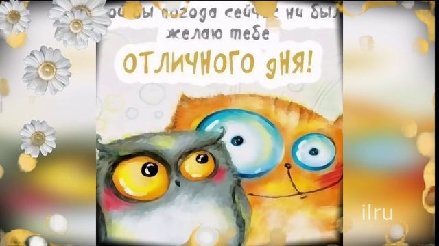 Доброе Утро! Утро Началось! Позитив с утра!