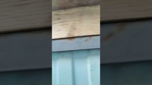 НАВЕС. Пристройка к бане. Мастерская.