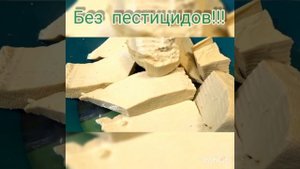 Тофу польза и вред