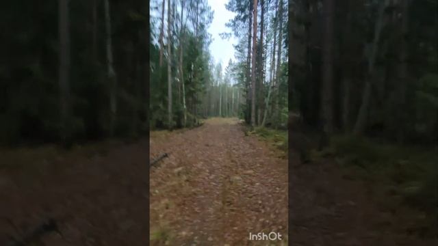 17 ноября 2022 г. смотреть онлайн