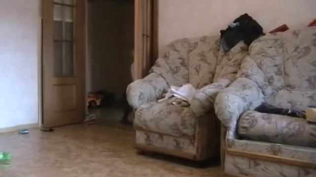 У Лёни на ДР смотреть онлайн