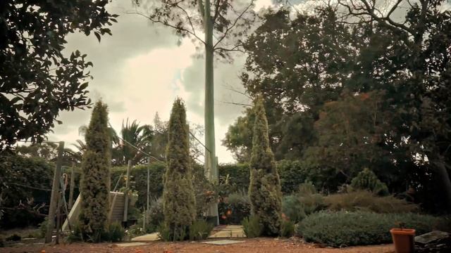 Sony NEX-5N video timelapse test смотреть онлайн