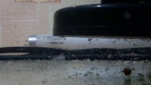 Кормление малька тернеций артемией