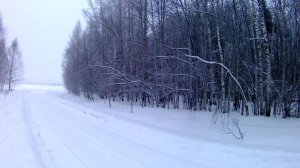 Охота на зайца