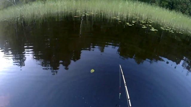 Рыбалка на спиннинг 🔥#рыбалка #лодка #карелия #щука #онежскоеозеро смотреть онлайн