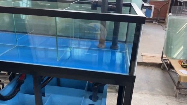Аквариум для морепродуктов передержка устриц витрина в ресторан