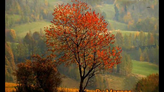 Chico Rey & Paraná - Só Deus Endossa смотреть онлайн