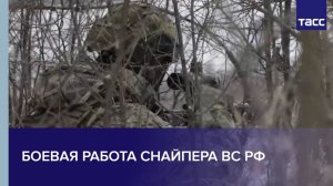 Боевая работа снайпера ВС РФ