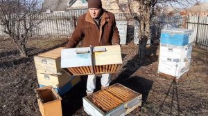 Осенний слёт пчёл. Коллапс пчёл. Кажется причины выявлены и есть решение. Попутно ответ подписчику.