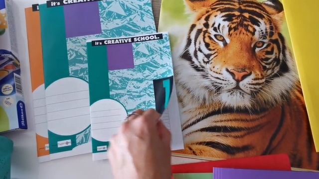 В первый класс в Германии / социальная помощь к школе / с чем идёт ребёнок в первый класс /Германия смотреть онлайн