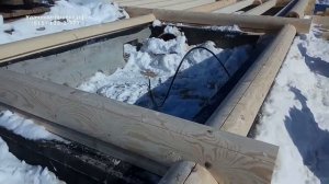 Сборка дома из оцилиндрованного бревна. Первый этаж. Часть 2.