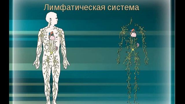 Яблочный уксус . Какая реальная польза для организма ?! смотреть онлайн