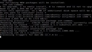 How to install zsh in Linux