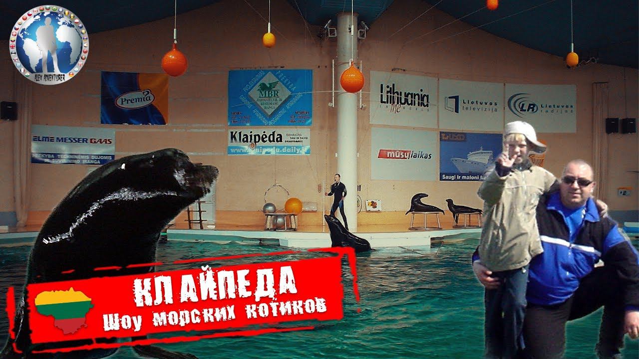 Клайпеда 🇱🇹 Литва. Шоу морских котиков. Морской музей 💯Алекс Авантюрист