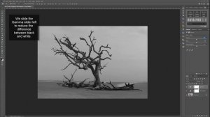 Extreme Black and White Photo Edit Technique in Photoshop | Photoshop Tutorial